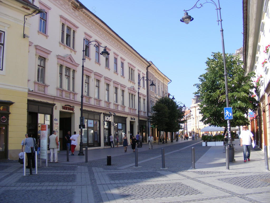 Garsoniera Central Sibiu Phòng bức ảnh